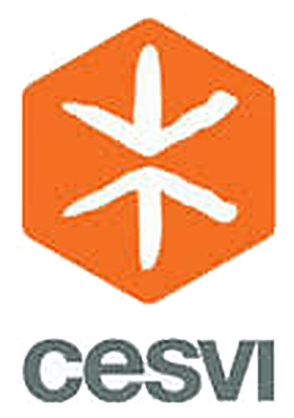 CESVI logo