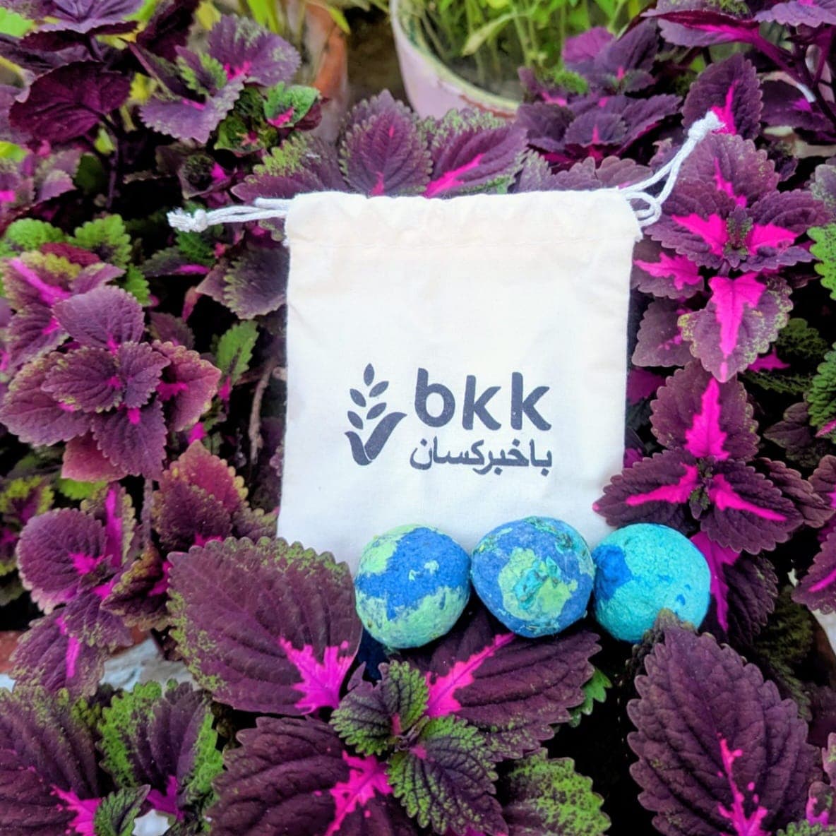 Custom Seed Balls (Bulk)